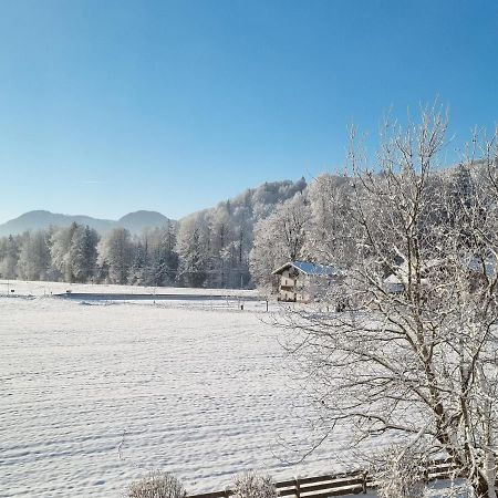 Ferienwohnungen Am Alpenrand Siegsdorf Exterior photo