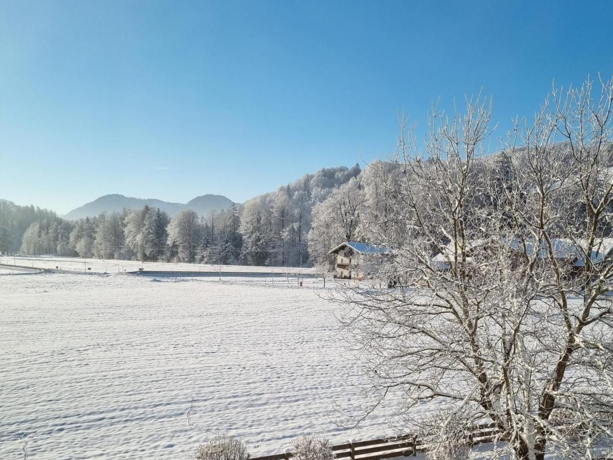 Ferienwohnungen Am Alpenrand Siegsdorf Exterior photo